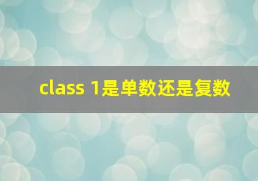 class 1是单数还是复数