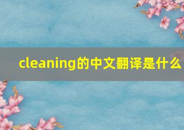 cleaning的中文翻译是什么