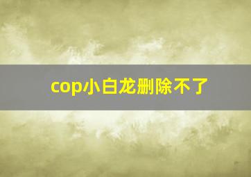 cop小白龙删除不了