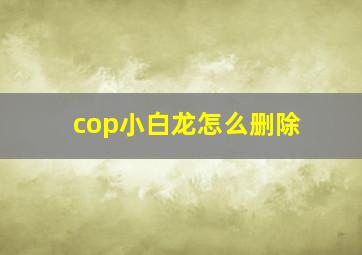 cop小白龙怎么删除