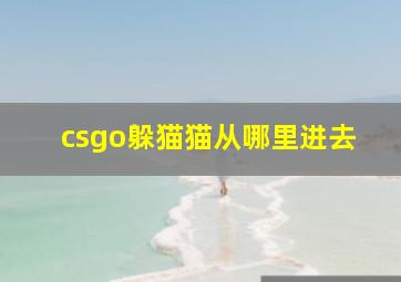 csgo躲猫猫从哪里进去