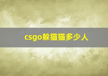 csgo躲猫猫多少人