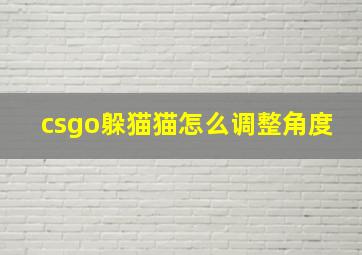 csgo躲猫猫怎么调整角度