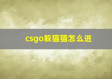 csgo躲猫猫怎么进