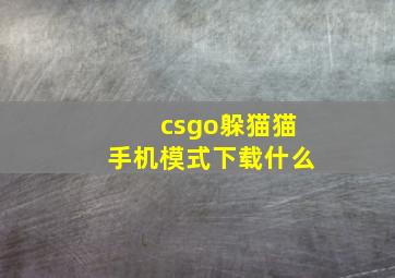 csgo躲猫猫手机模式下载什么