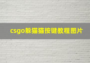 csgo躲猫猫按键教程图片