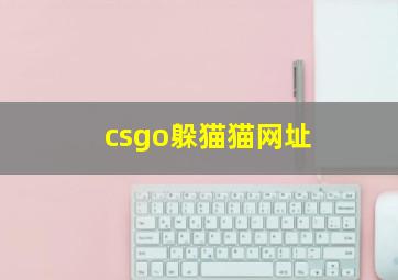 csgo躲猫猫网址