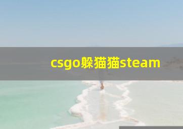 csgo躲猫猫steam