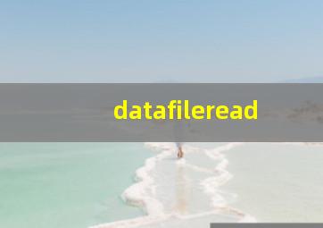 datafileread