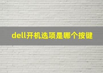 dell开机选项是哪个按键