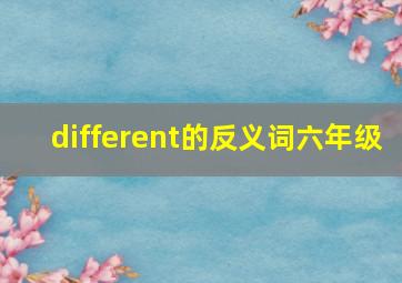 different的反义词六年级