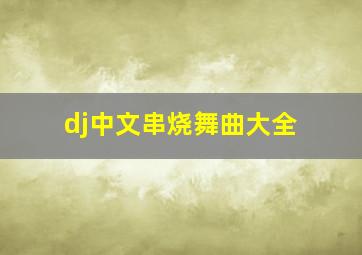 dj中文串烧舞曲大全