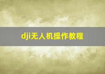 dji无人机操作教程