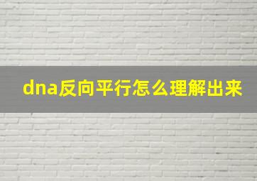 dna反向平行怎么理解出来