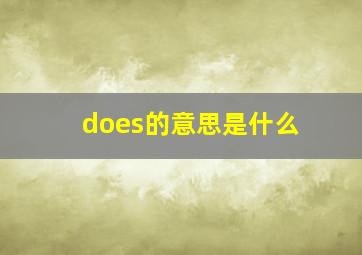 does的意思是什么