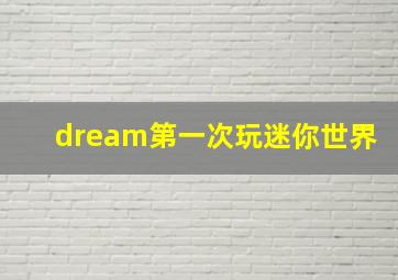 dream第一次玩迷你世界