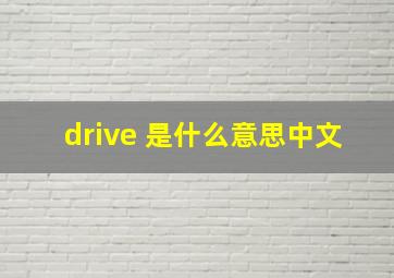 drive 是什么意思中文