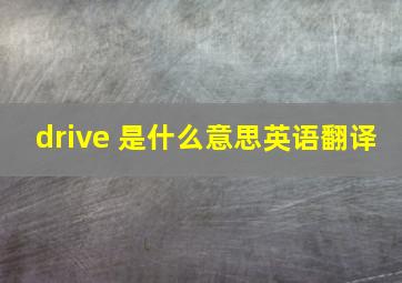 drive 是什么意思英语翻译