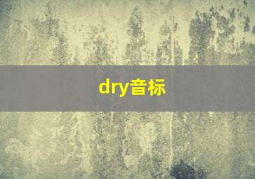 dry音标