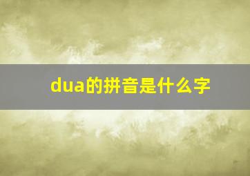 dua的拼音是什么字