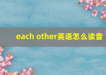 each other英语怎么读音