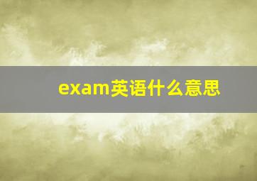 exam英语什么意思