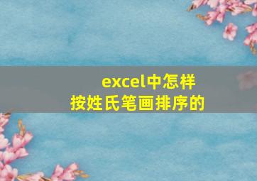 excel中怎样按姓氏笔画排序的