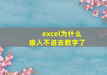 excel为什么输入不进去数字了