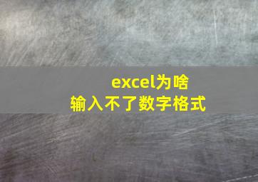 excel为啥输入不了数字格式