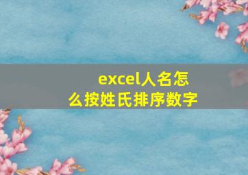 excel人名怎么按姓氏排序数字