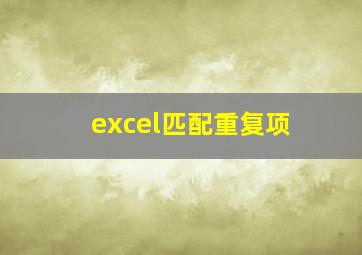 excel匹配重复项