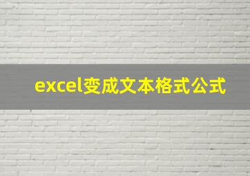 excel变成文本格式公式