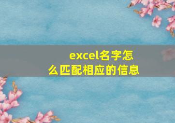 excel名字怎么匹配相应的信息