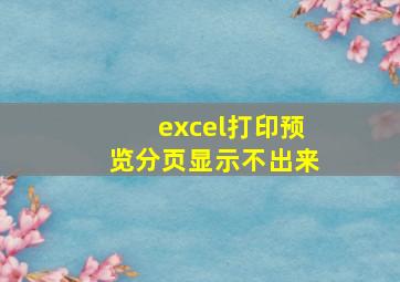 excel打印预览分页显示不出来