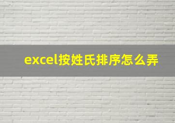 excel按姓氏排序怎么弄