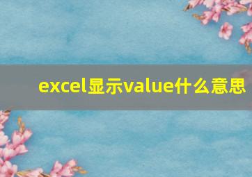 excel显示value什么意思