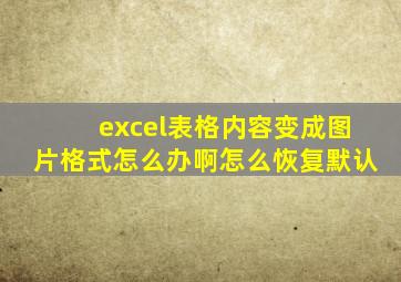 excel表格内容变成图片格式怎么办啊怎么恢复默认