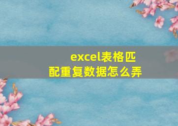 excel表格匹配重复数据怎么弄