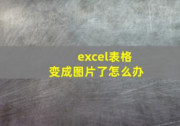 excel表格变成图片了怎么办