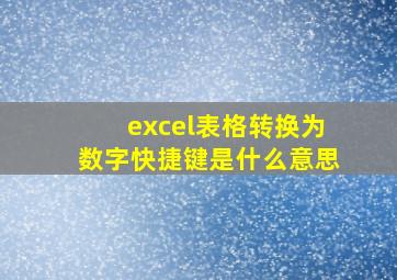 excel表格转换为数字快捷键是什么意思