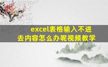 excel表格输入不进去内容怎么办呢视频教学