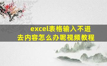 excel表格输入不进去内容怎么办呢视频教程