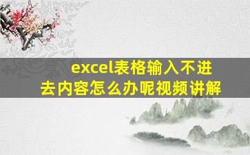 excel表格输入不进去内容怎么办呢视频讲解