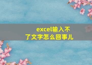 excel输入不了文字怎么回事儿