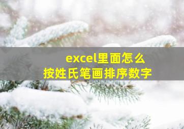 excel里面怎么按姓氏笔画排序数字