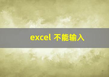 excel 不能输入