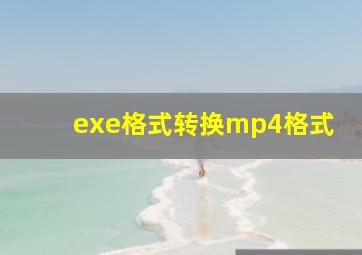 exe格式转换mp4格式