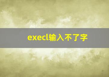 execl输入不了字