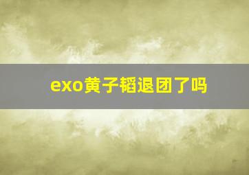 exo黄子韬退团了吗