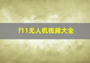 f11无人机视频大全